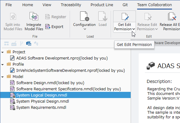 Distributed development in a team